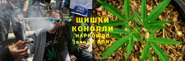 ПСИЛОЦИБИНОВЫЕ ГРИБЫ Козельск