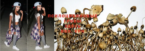 дмт Красноперекопск