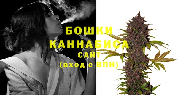 ПСИЛОЦИБИНОВЫЕ ГРИБЫ Козельск