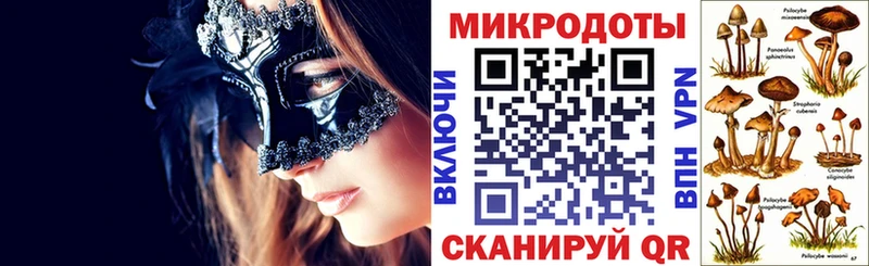 Псилоцибиновые грибы Psilocybe  Кудымкар 