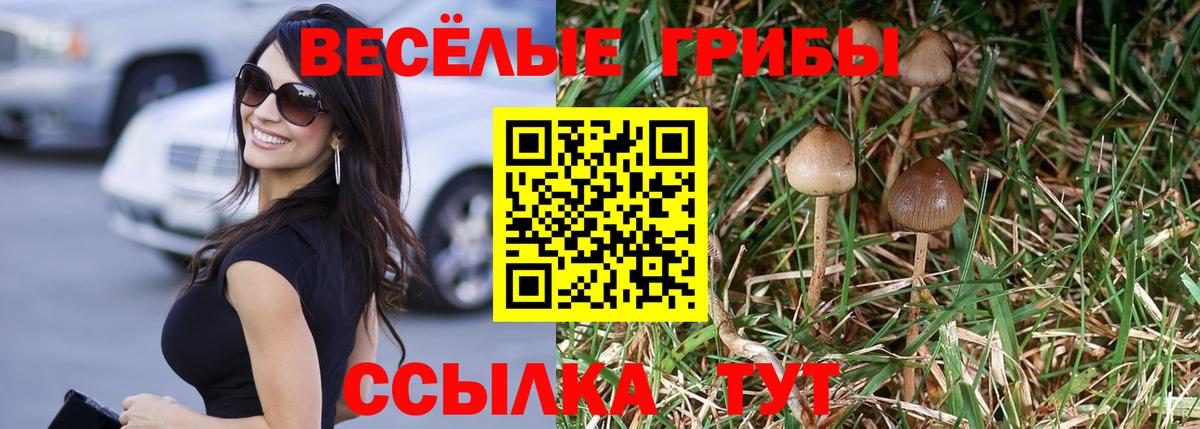 наркошоп  Вход с VPN  Галлюциногенные грибы Magic Shrooms  Кудымкар  Псилоцибиновые грибы GOLDEN TEACHER 